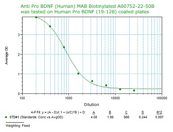 anti pro bdnf monoclonal antibody