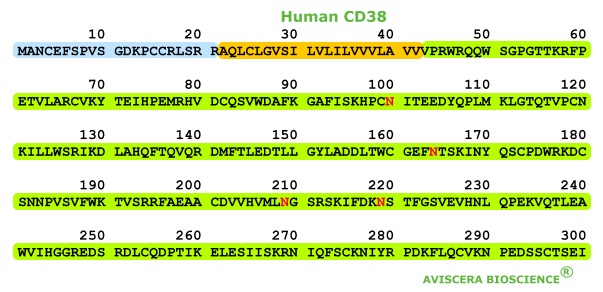 human soluble CD38 elisa kit from aviscera bioscience