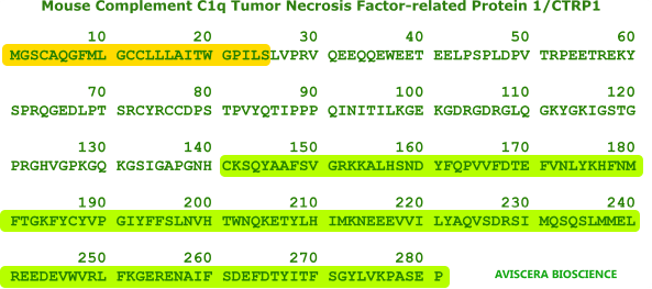 mouse CTRP1 recombinant from aviscera bioscience