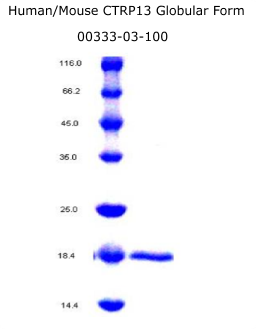 human mouse CTRP3 recombinant from aviscera bioscience