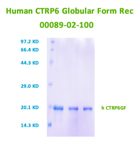 human ctrp6 gf rec