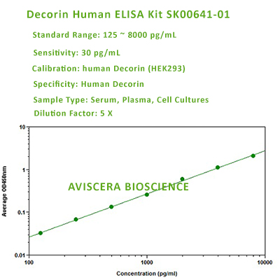 new human decorin elis akit SK00641-01