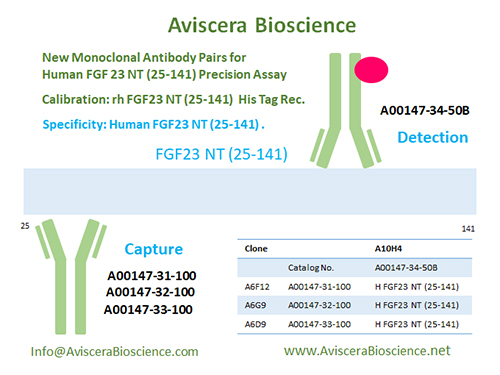 FGF23 NT Monoclonal Antibody A00147 from AvisceraBioscience