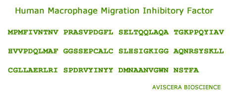 Human MIF recombinant protein was from aviscera bioscience