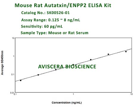 NEW MOUSE ENPP2 ELISA