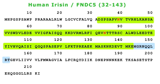 irisin recombinant from aviscera bioscience