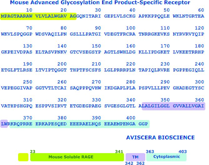 mouse soluble RAGE